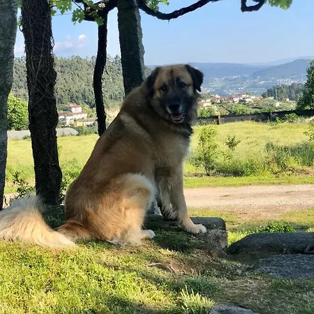 Casa Da Ventozella Casa di campagna