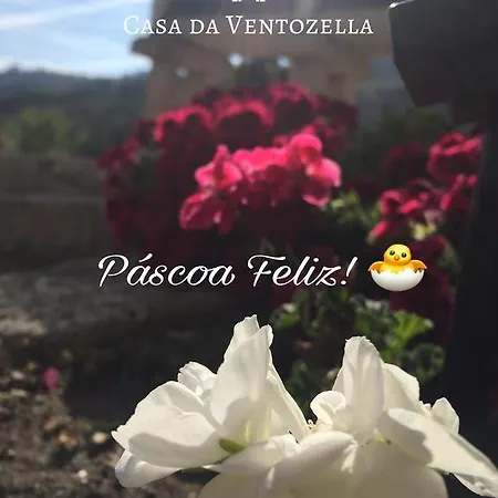 Casa di campagna Casa Da Ventozella