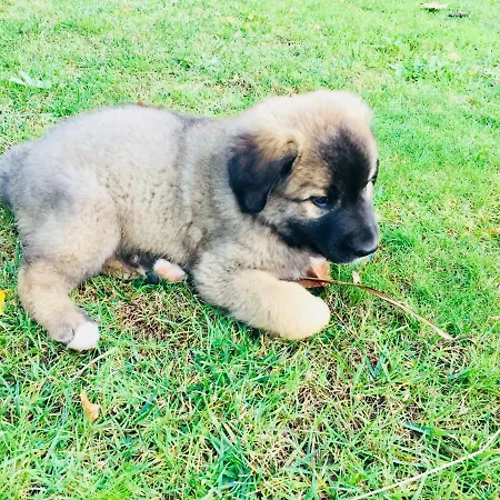 Casa Da Ventozella Landhaus *