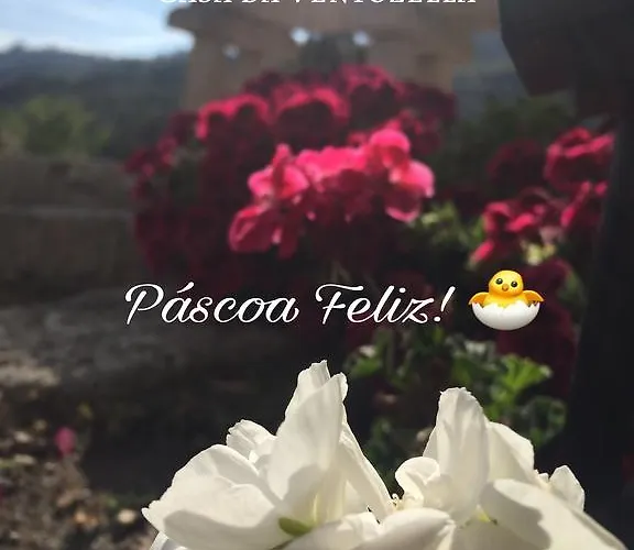 Casa de Campo Casa Da Ventozella